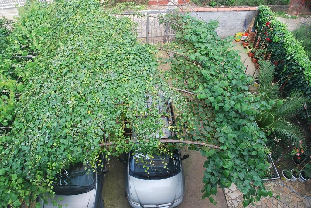Апартаменты Apartments Stevanović Добра-Вода